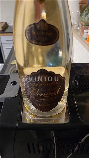Schaumweine Blanc brut Blanc de blancs Champagne Jean-Jacques PESSENET 2020 Frankreich Champagne Champagner AOC