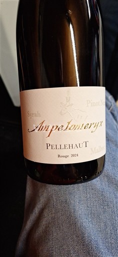 Sud-Ovest Côtes de Gascogne Domaine Pellehaut Ampelomeryx 2024