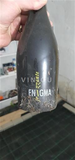 Jura Côtes du Jura Domaine Xavier Reverchon Enigma Niet-geïntegreerd