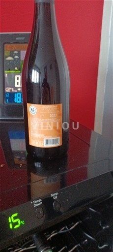 Jura Arbois Domaine La Pinte 2023