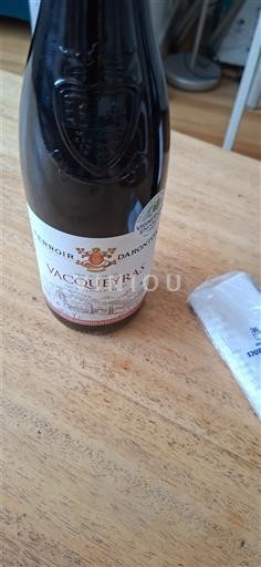 Vale do Ródano Vacqueyras Benoit Daridon Não Sazonado