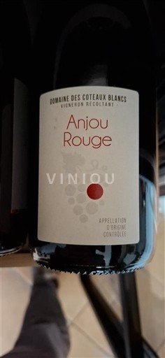 Vale do Loire Anjou Domaine S Coteaux Blancs 2024