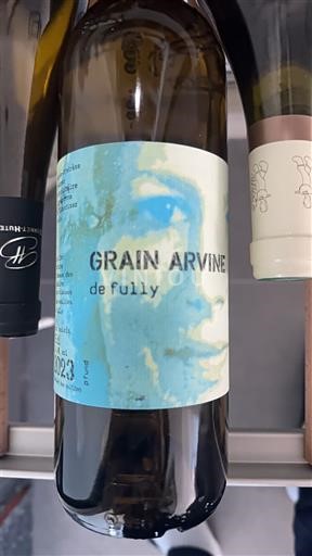 Вале Фулі Fully 2023