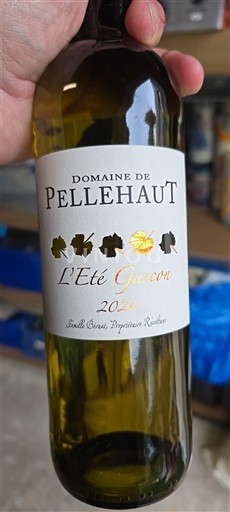 Jugozahod Côtes de Gascogne Domaine Pellehaut L'Été Gascon 2022