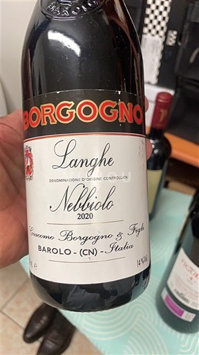 Viner Rouge sec Nebbiolo Giacomo Borgogno & Figli 2020 Italien Piemonte Langhe DOC
