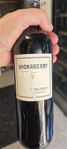 Vinhos Rouge sec Mignaberry Cave d irouleguy 2020 França Sudoeste Irouléguy AOC