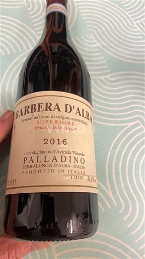Piemonte Barbera d'Alba Palladino Bricco delle Olive 2016