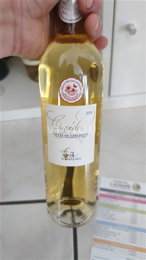 South West Côtes de Gascogne Domaine Les 3 Domaines Cupidon 2024