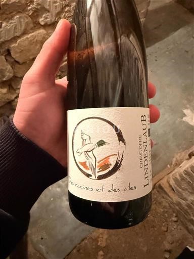 Alsazia Christophe Lindenlaub Des racines et des ailes 2022