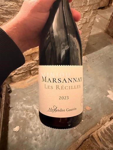 Burgundy Marsannay Grand Cru Alexandre Gauvin Les Récilles 2023