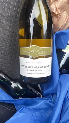 Burgund Mâcon und Mâcon-Dörfer Château S Bois 2023