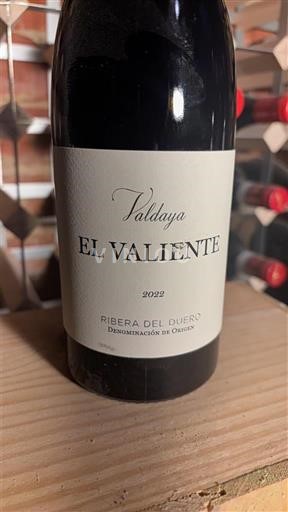 Castilien og León Ribera del Duero Valdaya El Valiente 2022