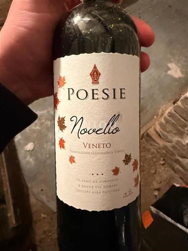 Vini Rouge sec Novello Poesie 2021 Italia Veneto DOC