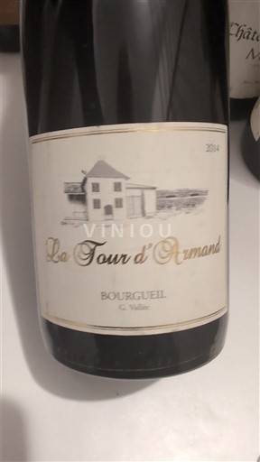 Loire-dalen Bourgueil La Tour d'Armand 2014