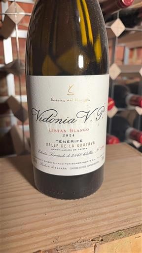 Canarie Valle de la Orotava Suertes del Marqués Vidonia V.P. 2024