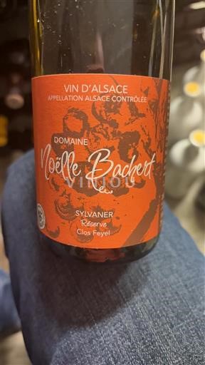 Alsazia Domaine Noëlle Bachet Réserve Clos Feyel 2020