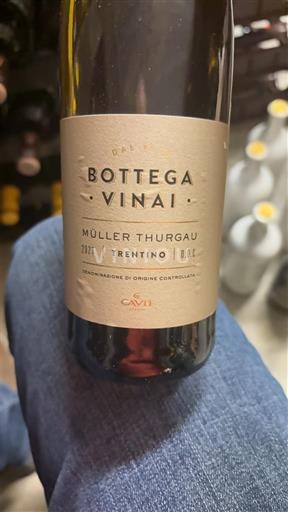 Трентіно-Альто-Адідже Не вказано Bottega Vinai Müller Thurgau 2021