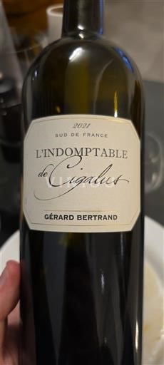 Languedoc Ikke specificeret Domaine Gérard Bertrand - Domaine de Cigalus L'Indomptable de Cigalus 2021
