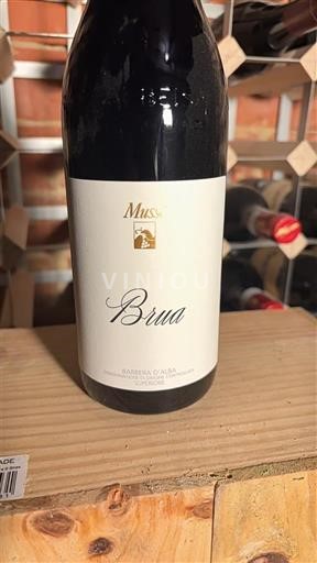 Piemonte Barbera d'Alba Musso Brua 2021