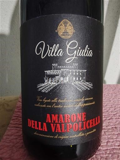 Vini Rouge sec Villa Giulia 2014 Italia Veneto Amarone della Valpolicella DOCG