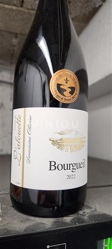 Loire-dalen Bourgueil Domaine Olivier Laudette 2022
