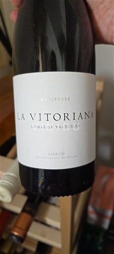 Кастилія і Леон Б'єрсо Raúl Pérez La Vitoriana Lomas de Valtuille 2023