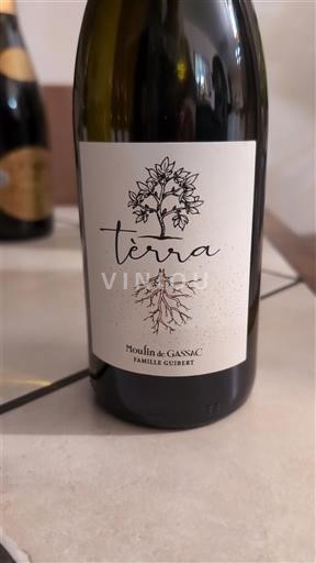 Languedoc Ikke specificeret Moulin de Gassac Tèrra 2024