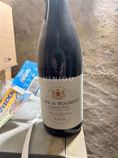 Borgogna Clos-de-vougeot Grand Cru Pierre Laforest 2009