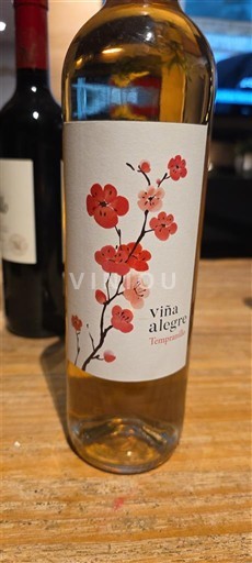 Кастилія-Ла-Манча Ла-Манча Viña Alegre Без вінтажу