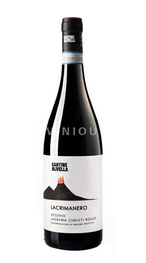 Kampanja Vezuvio Cantine Olivella Lacrimanero 2024