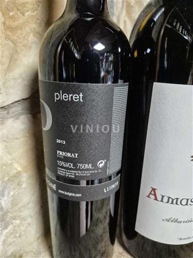 Katalonija Priorat Saó del Coster Pleret 2013