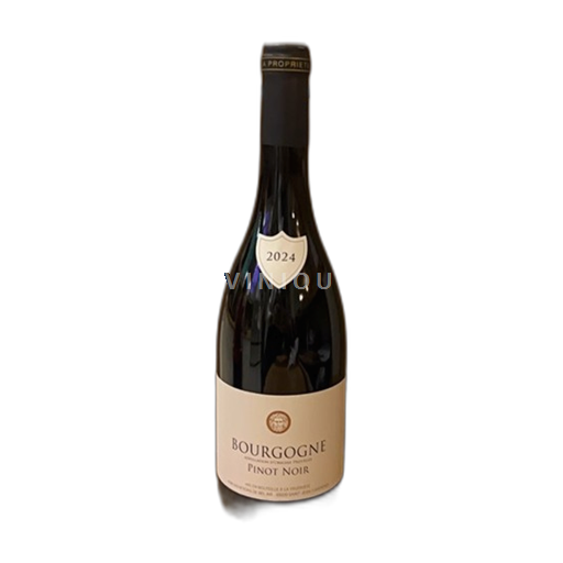 Bourgogne Bourgogne Pinot Noir 2024 2024
