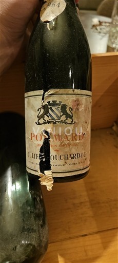 Бургундія Поммар Julien Bouchard & Cie Без вінтажу