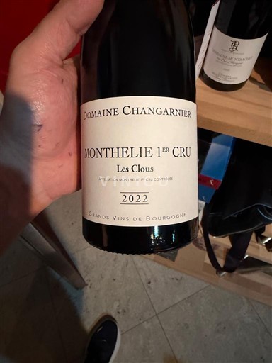 Бургундія Не вказано Premier Cru Domaine Changarnier Les Clous 2022