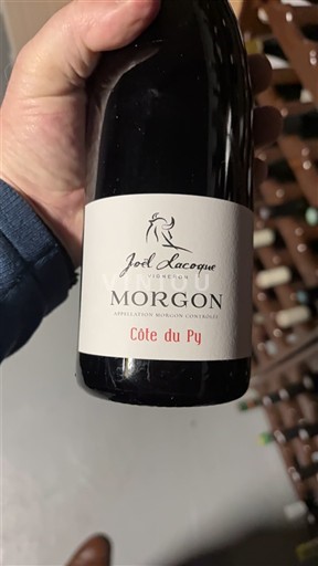 Beaujolais Morgon Joël Lacoque Côte du Py 2023