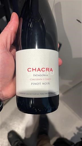 Патагонија Nespecificirano Chacra Cincuenta y Cinco 2022