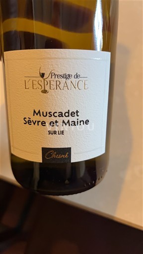 Vine Blanc sec Prestige de l'Espérance 2024 Frankrig Loire-dalen Muscadet-Sèvre-et-Maine AOC