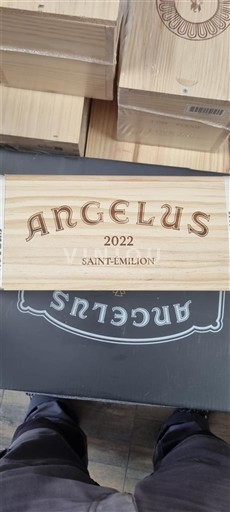 Бордо Сен-Емільйон Angélus 2022