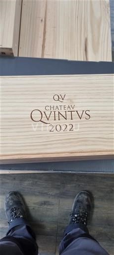 Bordeaux Saint-Émilion Château Quintus 2022