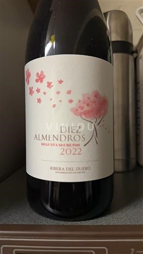 Vinhos Rouge sec Diez Almendros 2022 Espanha Castela e Leão Ribera del Duero DO
