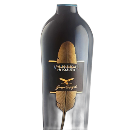 Veneto Valpolicella Ripasso Gorgo Ripasso 2021