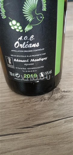 Loiren laakso Orléans Edouard Montigny 2019