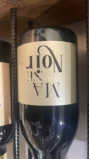 Alsazia Pinot nero Bodegas tagua 2023