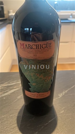 Долина Рапель Долина Колчагуа Marchiguë 2021