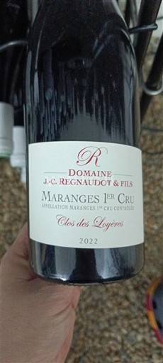 Бургундія Не вказано Premier Cru Domaine J.C. Regnaudot & Fils Clos des Loyères 2022