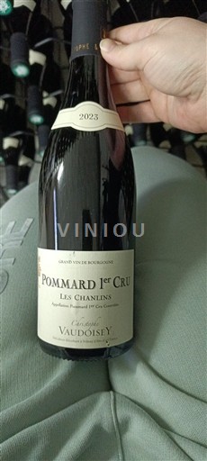 Borgoña Pommard Premier Cru Domaine Joseph Vaudoisey Les Chanlins 2023