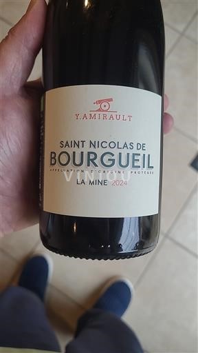 Valle del Loira Saint-Nicolas-De-Bourgueil Y. Amirault La Mine 2024