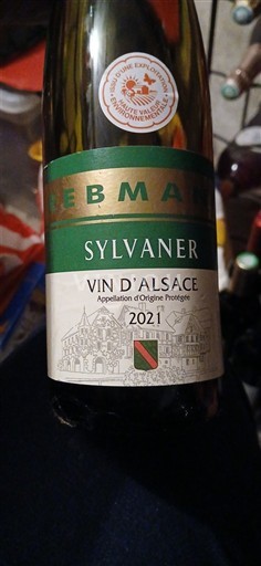 Elzas Krebsbach 2021