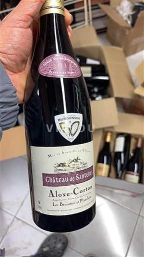 Wines Rouge sec Les Brunettes et Planchots Château Santenay 2011 France Burgundy Aloxe-Corton AOC