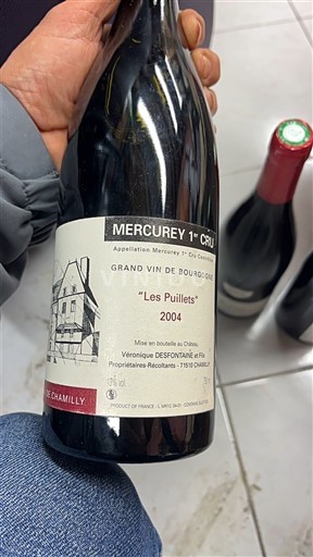 Borgogna Non specificato Premier Cru Domaine Camilly Les Puillets 2004